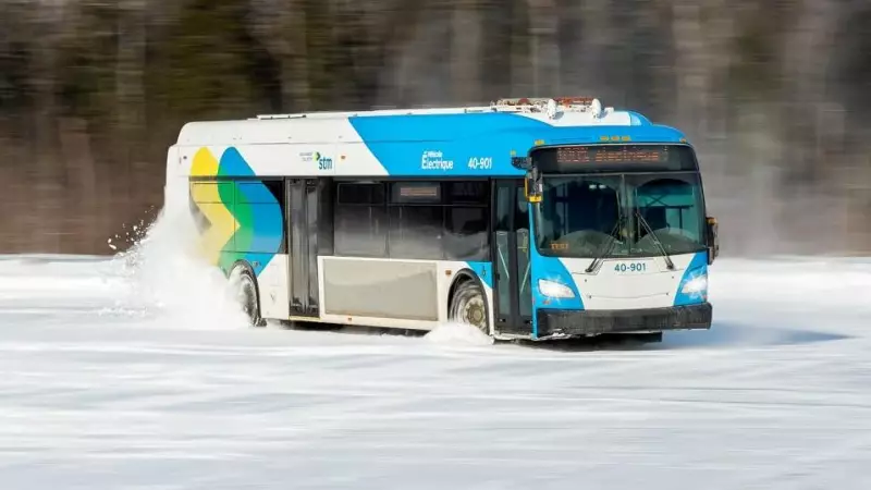 Electric Buses Could Save STM Thousands Daily, Concordia Study Finds