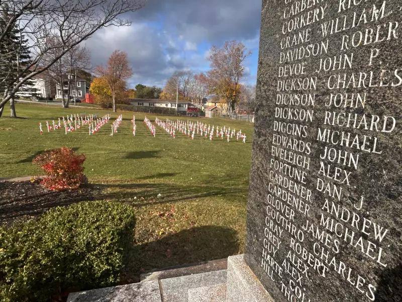 Field of Heroes: Sydney Mines Memorial Creates Stunning Tribute to Fallen Soldiers