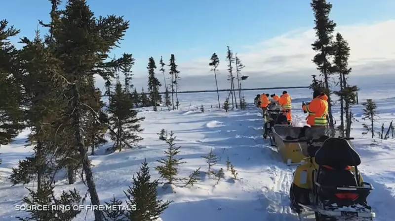 First Nations Seek Ban on 3M Hectare Development in Northern Ontario