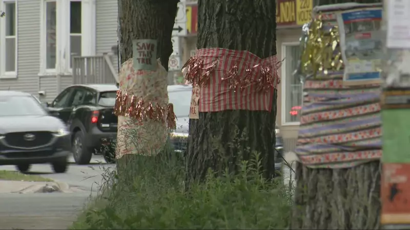 Halifax Rally Opposes $200M Robie Street Transit Project