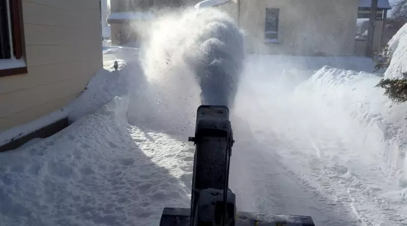 Kitchener Declares Snow Event: Vehicles Must Be Removed from Streets