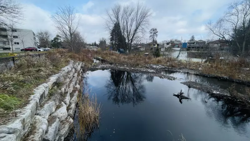 Kitchener Removes Beaver Dam from Shoemaker Creek Over Flood Concerns