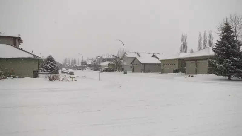 Lethbridge Digs Out After Season's First Major Snowfall Drops 15 cm