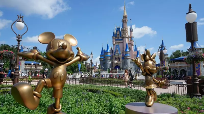 Magic Kingdom Fireworks Disaster: Guest Blinded by Falling Debris in Shocking Lawsuit