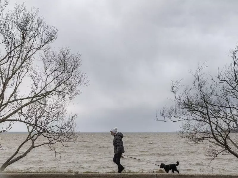 Montreal Weather Alert: Grey Skies & Powerful Gusts Sweep Through the City