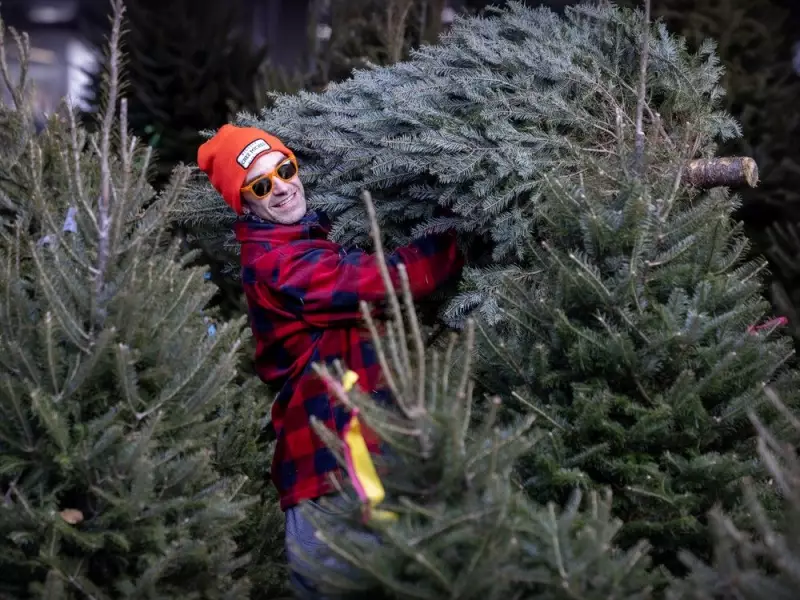 Montreal's Winter Forecast: A Classic Quebec Winter Ahead