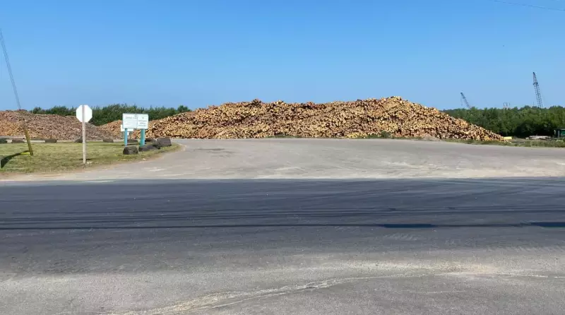 N.B. Wood Producers Fear Looming Mill Closures in 2025