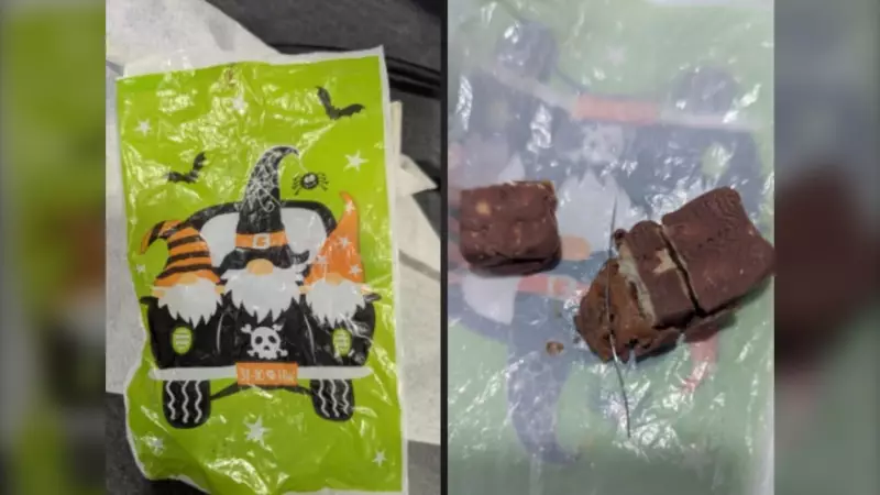 Needle Found in Windsor Halloween Candy: Safety Alert for Parents
