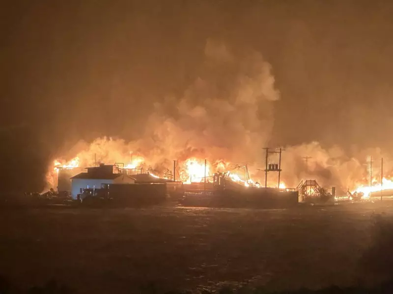 Newfoundland Fishing Community Devastated as Plant Burns Amid Ferocious Winter Storm