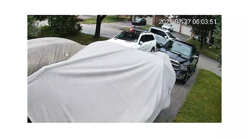 Newmarket Driver Charged After Rabbit Fatally Shot in Residential Area