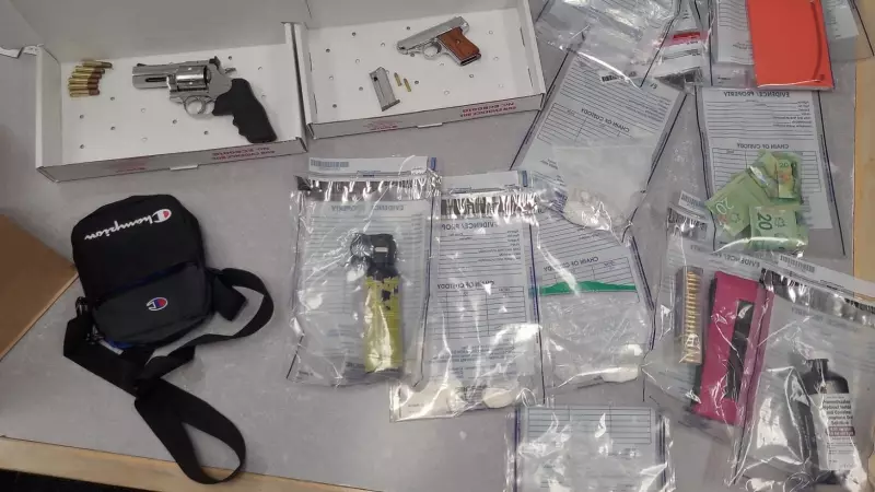 North Bay Drug Bust: Handgun, Bear Spray, and Cash Seized