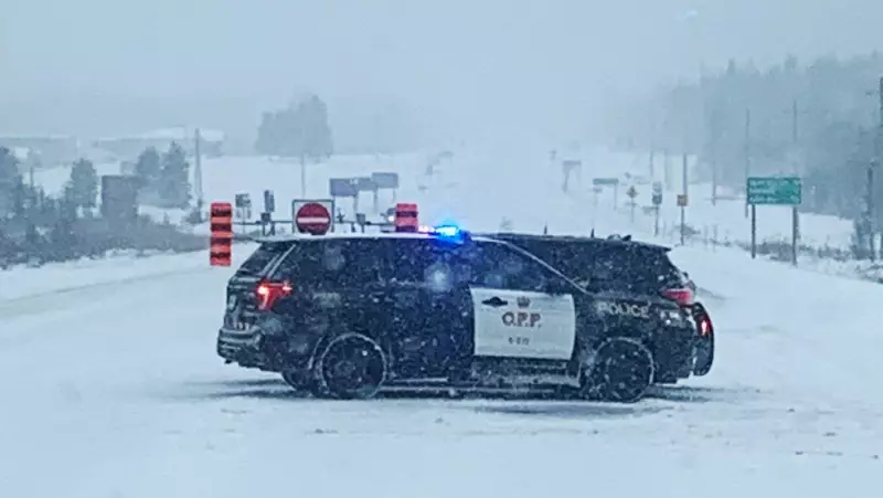 Northern Ontario MPPs Blast Province Over Highway 11 Safety Crisis