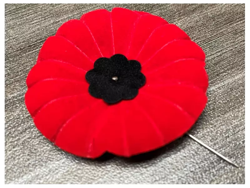 Nova Scotia Courts Defend Poppy Ban, Sparking National Debate