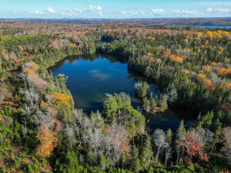 Nova Scotia Nature Trust Races to Save Rare Coastal Ecosystem Along Bras d'Or Lake