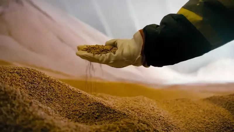 Nutrien Surpasses Profit Expectations, Launches Strategic Review of Phosphate Business