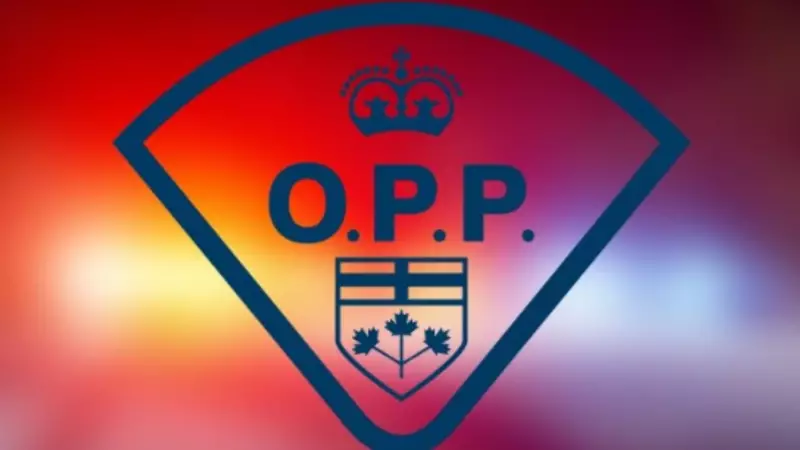 One dead after two small planes collide in southeastern Ontario