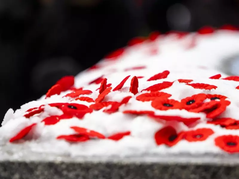 Ontario Boosts Remembrance Day Education in Schools for 2026