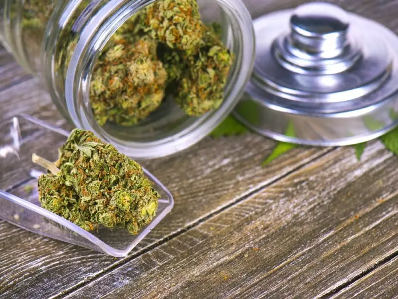 Ontario's Legal Cannabis Crisis: Stores Close as Illegal Market Thrives