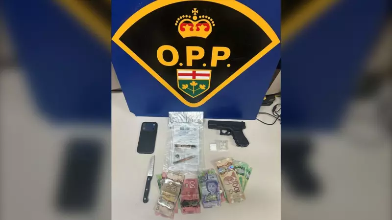 OPP Highway 11 Plate Reader Bust Nets Drugs, Imitation Gun, and Cash