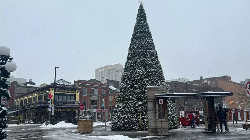Ottawa Braces for 5-10 cm of Snow This Sunday: Environment Canada