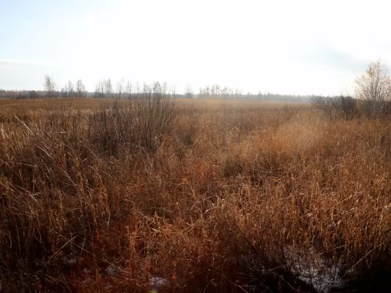 Ottawa Proceeds with Bid for East-End Landfill Amid Secrecy