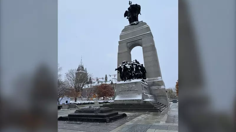 Ottawa Remembrance Day 2025: Ceremonies and Military Flypasts Honor Veterans