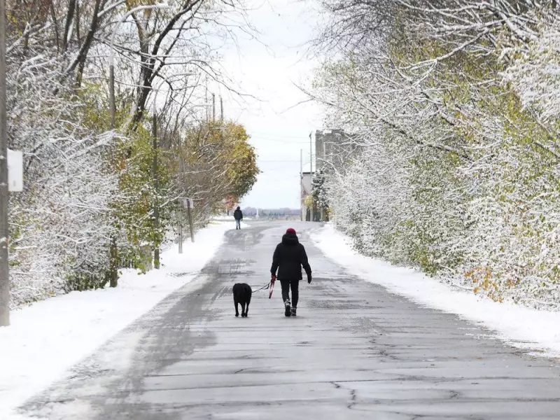 Ottawa's First Snowfall Sets Record But Won't Last, Says Climatologist