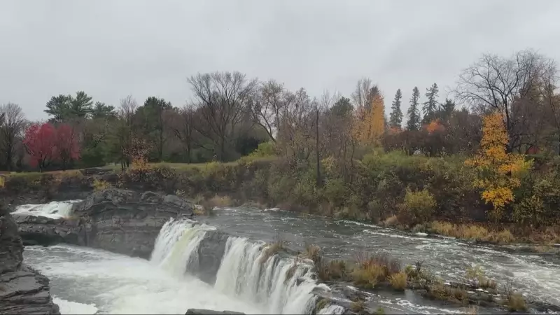 Ottawa's November Kickoff: Umbrellas Up as Rain Drenches the Capital