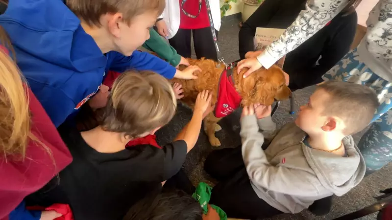 Paws for Comfort: How a Therapy Dog is Transforming Student Life at Arnprior Library