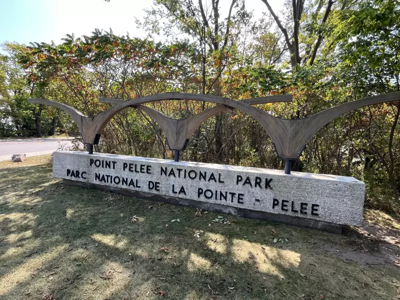 Point Pelee National Park Closed Due to Dangerous Weather Conditions