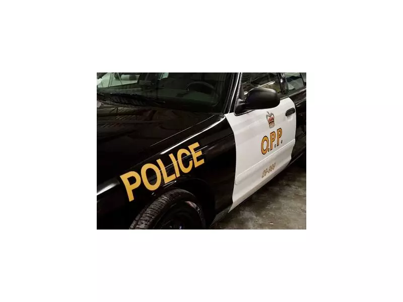 Police Confirm Gun Report Near Erin Public School Was Unfounded