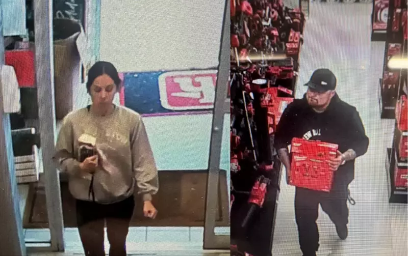 Police Seek Public Help in Tecumseh Theft Investigation