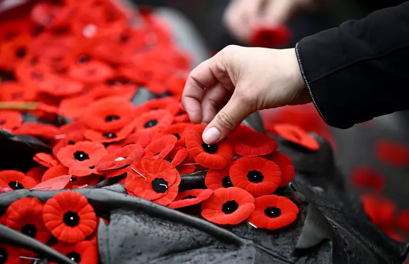 Poll: 70% of Canadians Plan to Observe Remembrance Day 2025