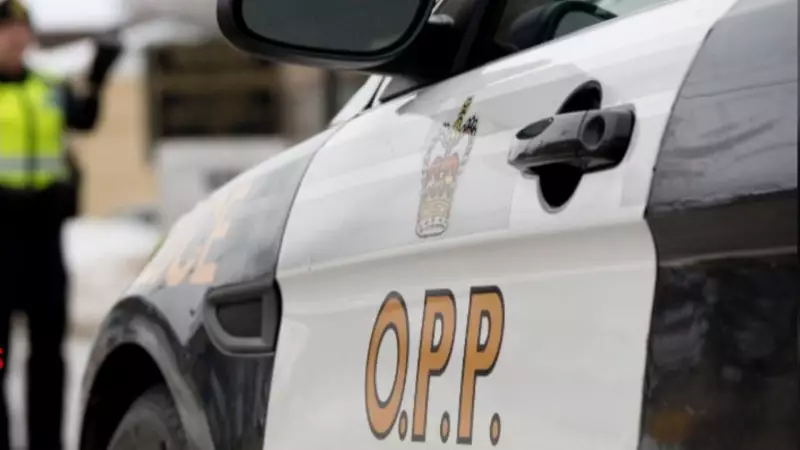 Slow Driver's Expensive Lesson: Over $5,000 in Fines After Ottawa Traffic Stop
