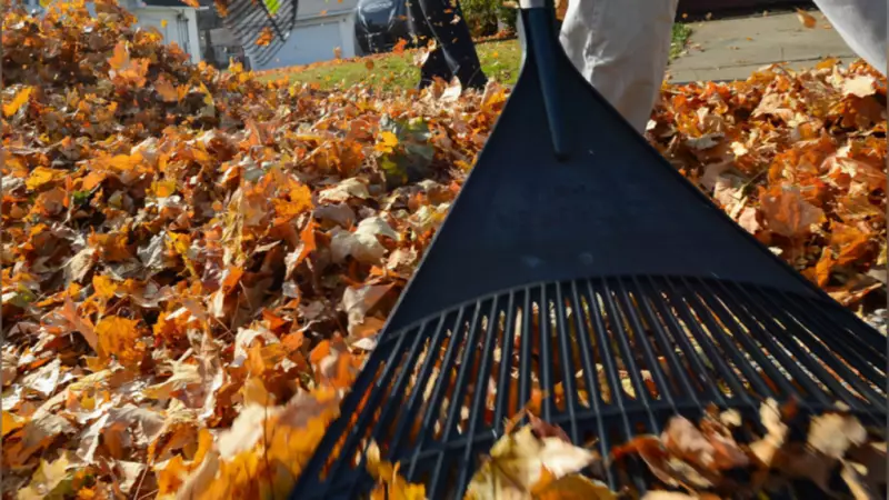 Tecumseh Extends Yard Waste Collection for Residents