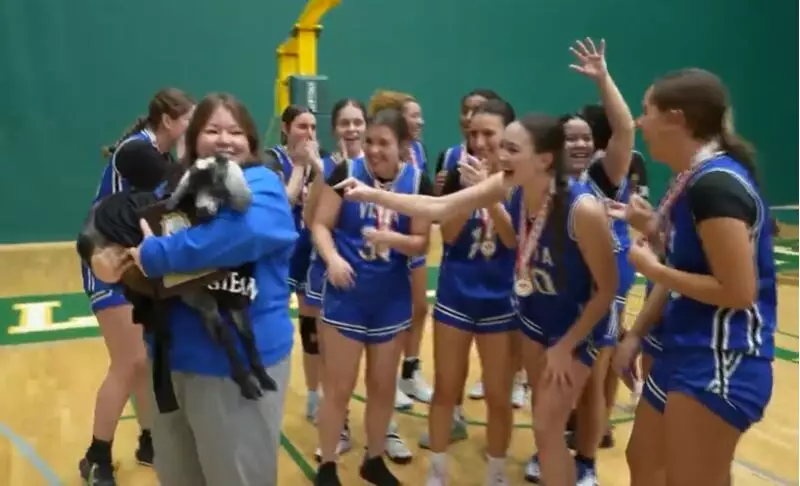 Tecumseh Vista Girls Basketball Repeats as WECSSAA Champions