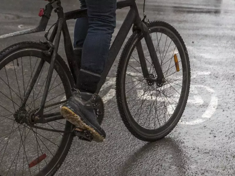 Terrebonne St. Bike Lane to Remain This Winter, CDN-NDG Mayor Confirms