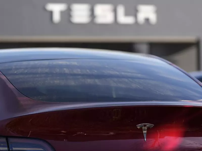 Tesla's FSD Approval in Europe Denied by EU Regulator RDW