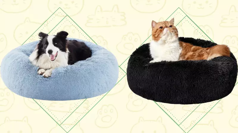 The Calming Donut Bed: Revolutionary Anxiety Relief for Cats and Dogs