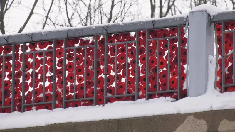 Thousands of Handmade Poppies Adorn Stratford Cenotaph for Remembrance Day