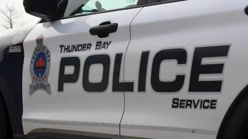 Thunder Bay Bus Collision: Pedestrian Incident Sparks Police Investigation and Transit Safety Review