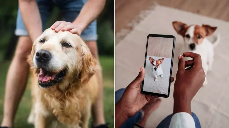 Top Dog Names in Canada 2025: Bella, Luna Lead Trends