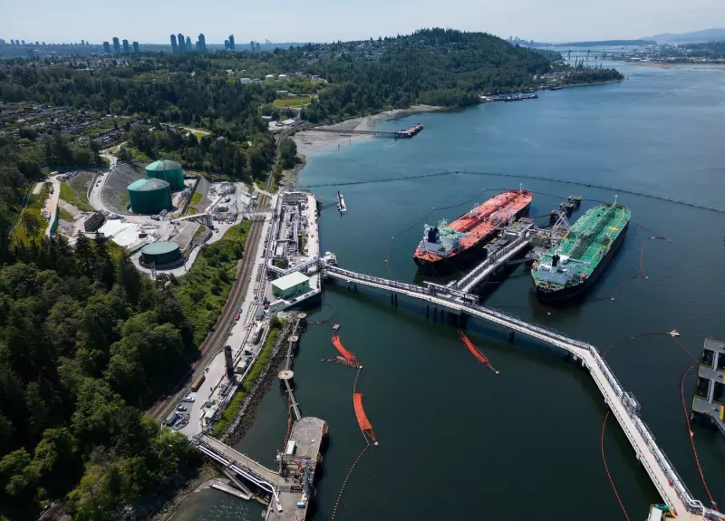Trans Mountain posts $127M Q3 profit as pipeline utilization surges