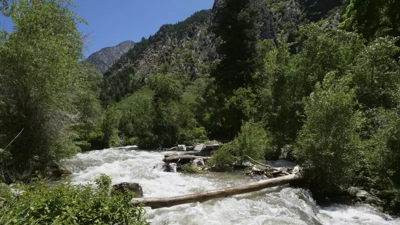 Utah Father Charged with Child Torture After Disappearing with 3 Children