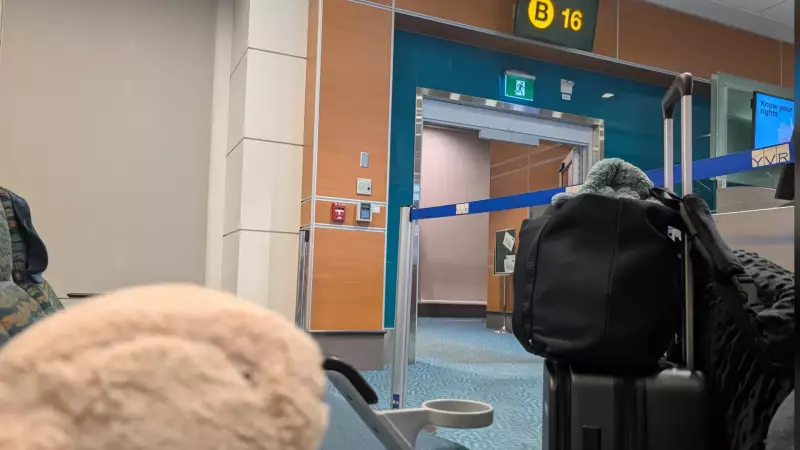 Vancouver's Viral Stuffed Toy Reunited with Owner After Month-Long Adventure