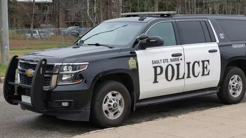 Wanted Sault Ste. Marie Woman Captured in Surprising Traffic Stop Twist