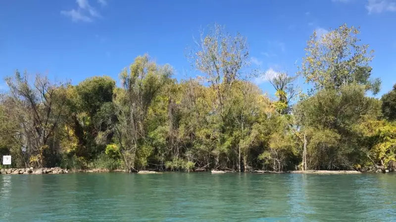 Windsor Approves Peche Island Restoration to Save Drying Ponds