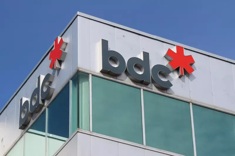 Women, Visible Minorities Gain Ground in Venture Capital: BDC Study