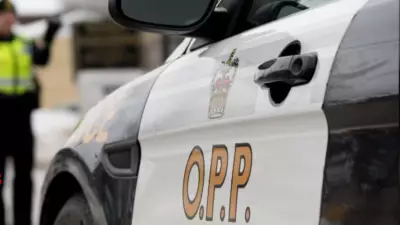 61-Year-Old Woman Dies in Tragic Three-Vehicle Collision Near Smiths Falls