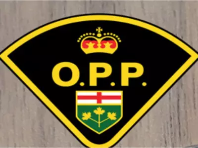 61-Year-Old Woman Killed in Three-Vehicle Crash Near Smiths Falls